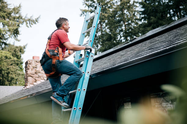 Best Gutter Installation and Repair  in Rib Mountain, WI